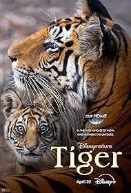 Tiger (2024)